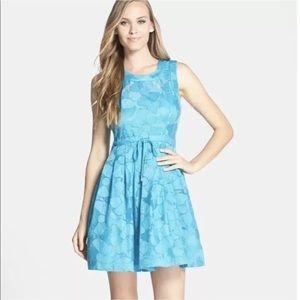 NEW Plenty by Tracy Reese Dress Size 6